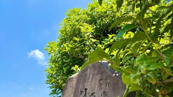 寒川町商工会ってどんなところ?③