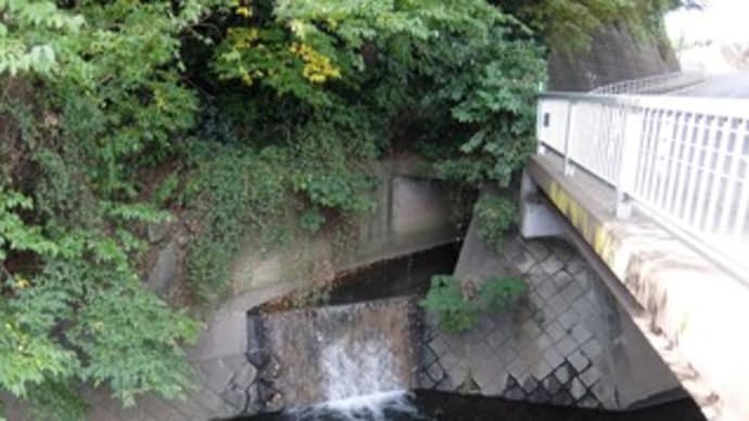2024神奈川河川ポタリング『比留川』⑤芝原橋~東海道新幹線超え~長坂橋