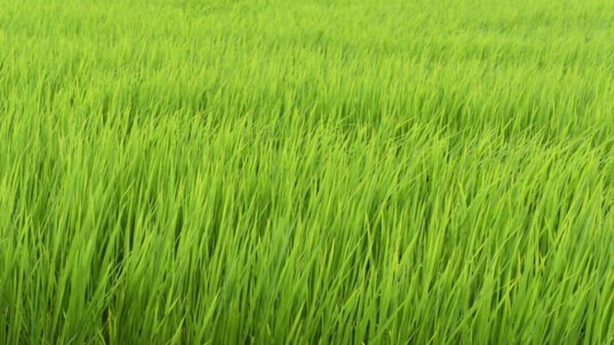 田園風景