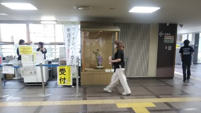市役所挿花6月12日