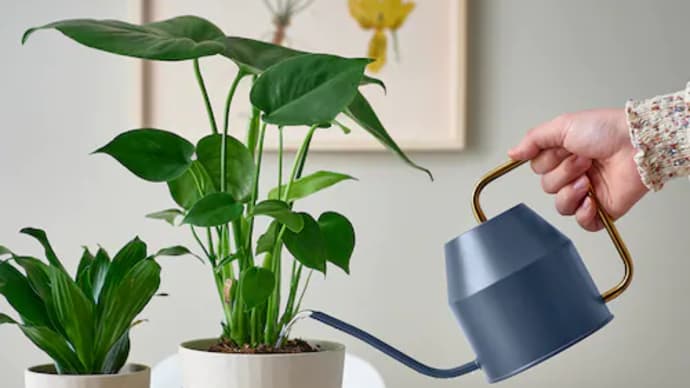 IKEAのソフトアイス~ストロベリーフェア