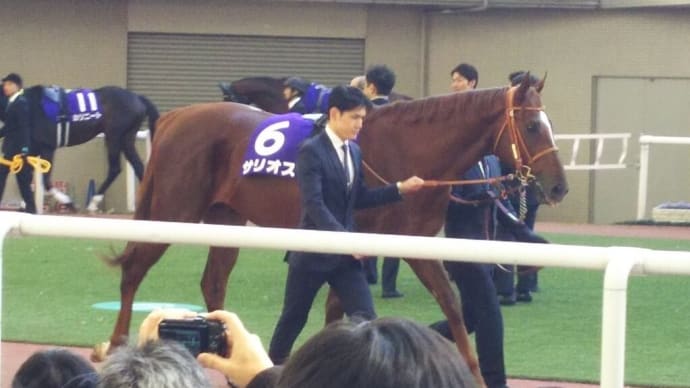 🐴大阪杯 2021