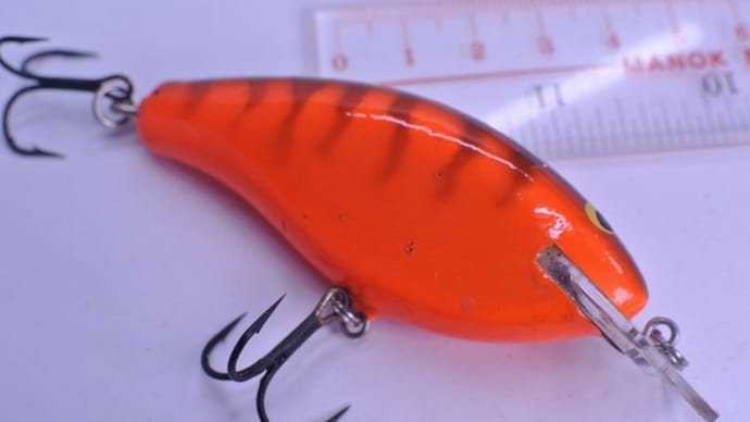 テネシータフィー?リーシッソン?レッドクロー