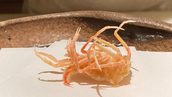 【ご参考】 銀座で天ぷら / Tempura @Ginza