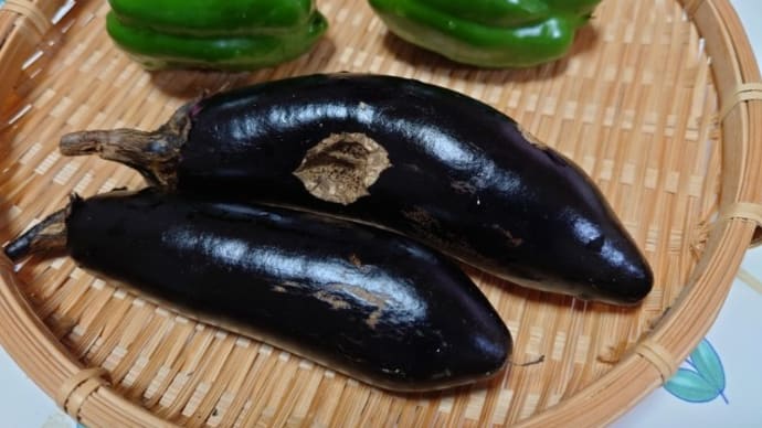 黒陽、無事でしたよ!