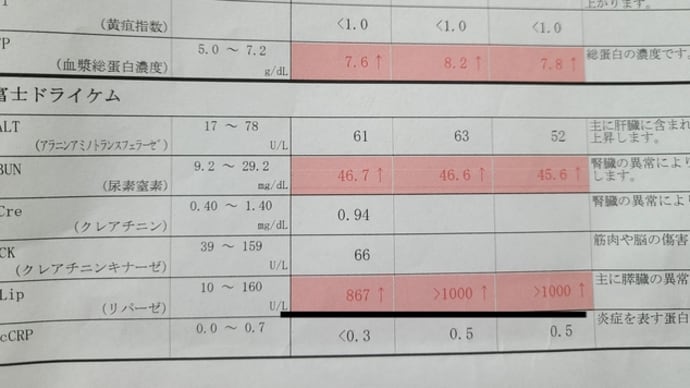 血液検査の結果は・・まぁまぁやな！