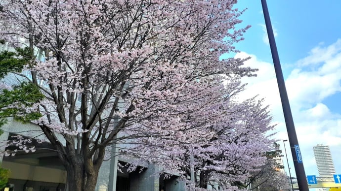 札幌・街の一コマ : 寒地土木研究所