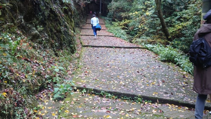 坂と階段を登りきって槇尾山施福寺へ。
