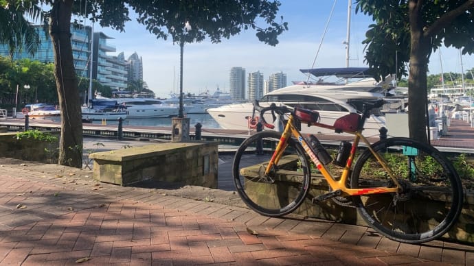 久しぶりのMt. Faber Sentosa そしてEast Coast Park