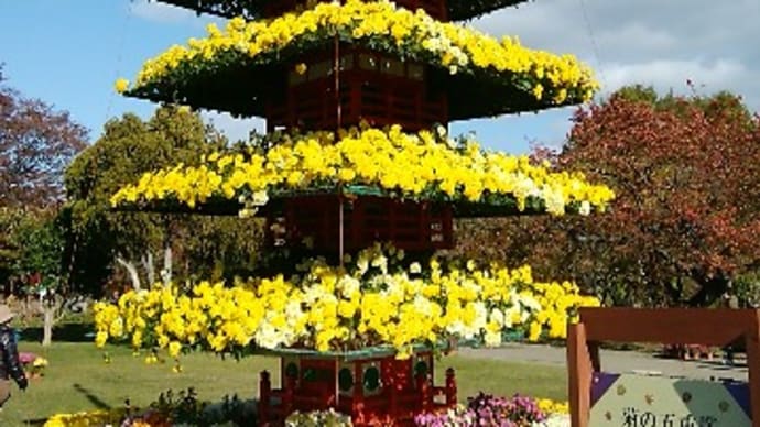 写真 『弘前城菊と紅葉まつり① 菊まつり』 弘前公園