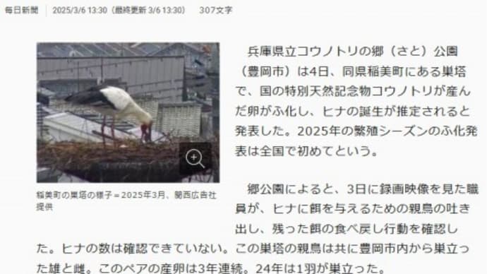 稲美町巣塔のコウノトリ ふ化・ヒナ誕生