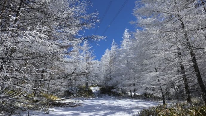 2023.11.19 今シーズン初の雪山⛄『北横岳』