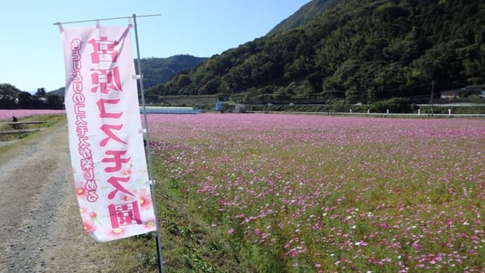 無限くら寿司、無限和食、無限焼肉を無料でGoToｲｰﾄ