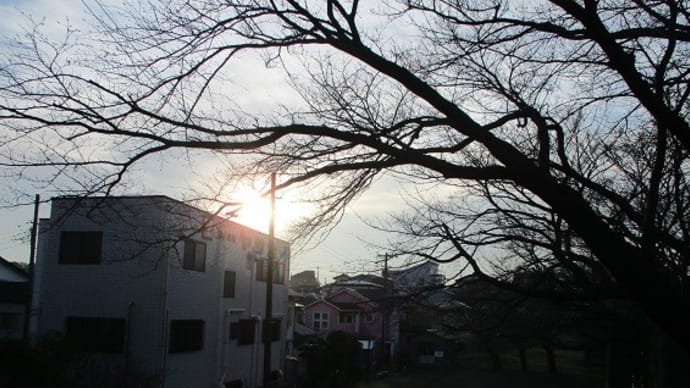 今日は晴れ！