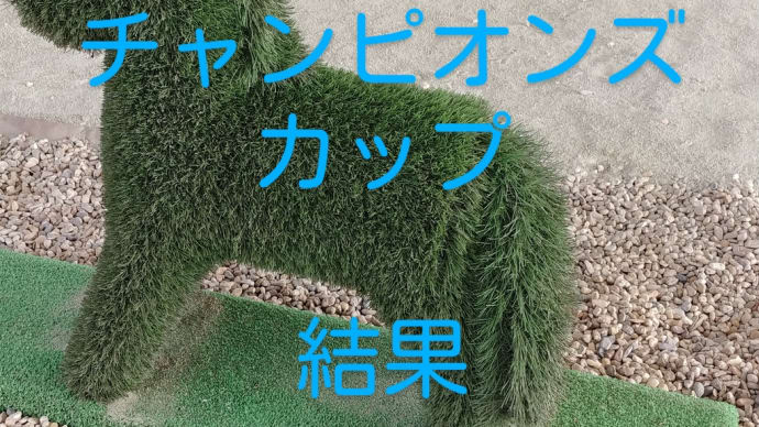 レース結果 競馬G1チャンピオンズカップ 馬券結果