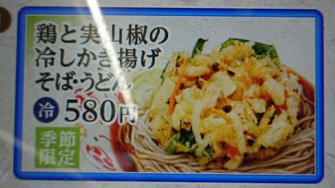 川崎駅・いろり庵きらく で 鶏と実山椒の冷やしかき揚げそば