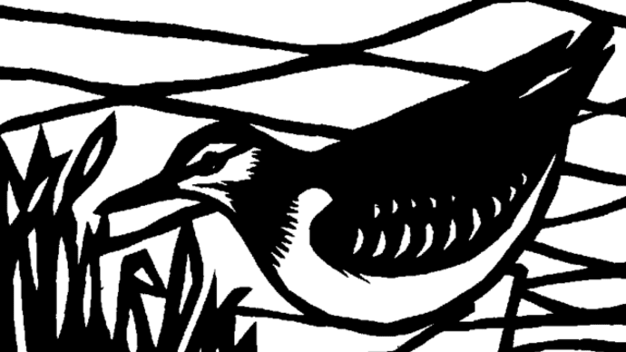 切り絵 ライチョウ、イソシギ