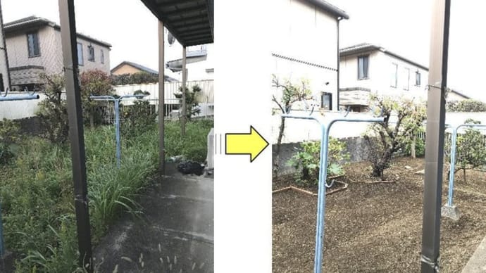 定期的にご依頼頂いている個人邸お庭の剪定と草刈り作業