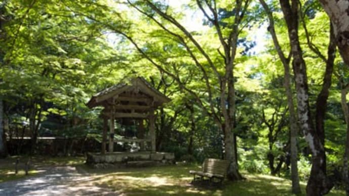 高源寺(丹波市)..その3