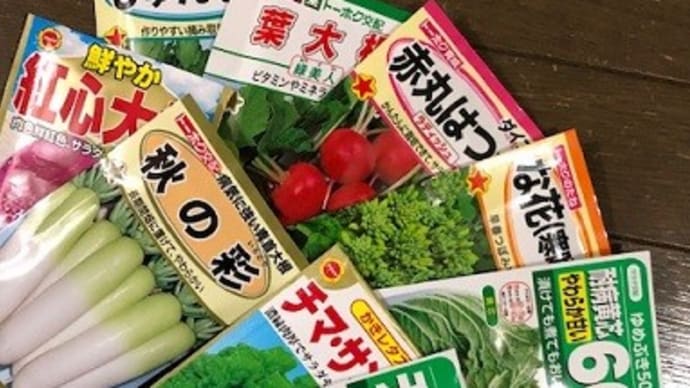 今年植える予定の 野菜種を買って来ました