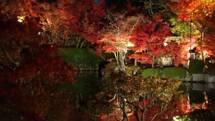 メインは伊勢神宮参拝だけど京都の紅葉も堪能しちゃいました　最終回　　もみじの永観堂・紅葉ライトアップ
