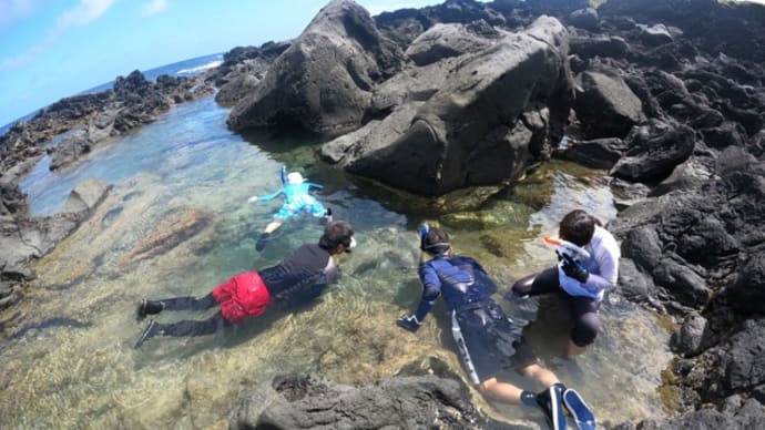 涼を感じて...潮溜まり海中散歩🐠