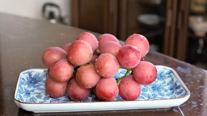 季節の便り