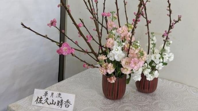 篠窪(しのくぼ)の隣町 草月流 佐久山様が「桃とストックで春」を生ける(2024/02/27)