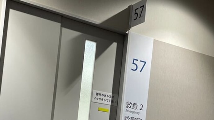 本日は足の親指の皮がめくれ救急外来へ。海水浴を中止、鳴門のうずしお観潮船に乗船。大塚国際美術館へ。