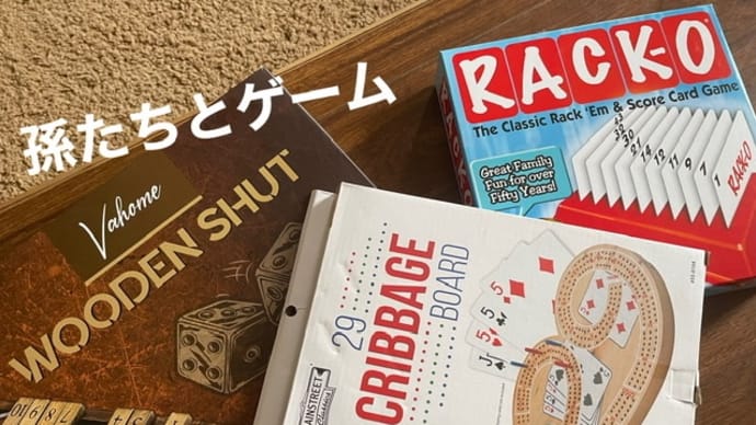 中古車を見に行った