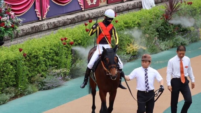 春競馬2023-32