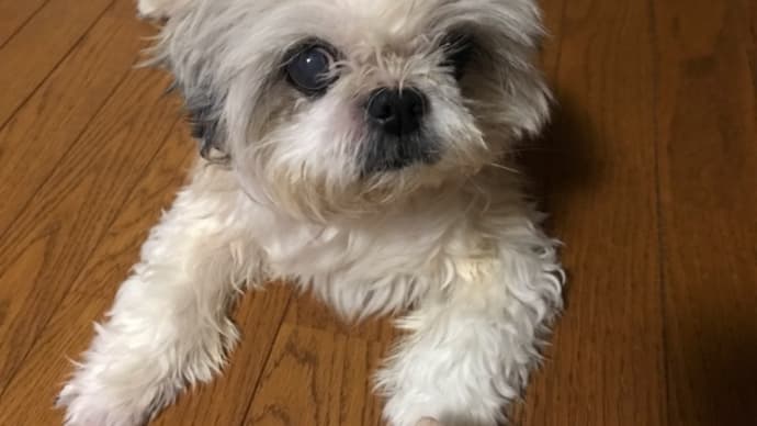 福ちゃん