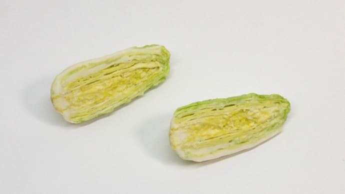カット白菜&腹筋&大晦日