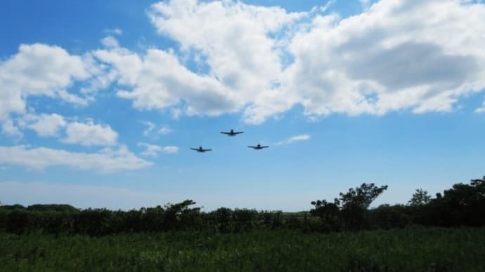 下関市小月航空基地「スウェルフェスタ2024」&息がピッタリですねミャ😺