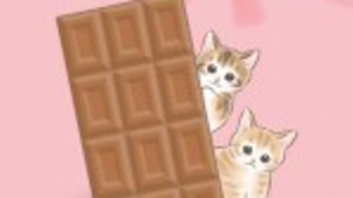 2月になりました!