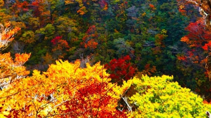 大山の紅葉のピーク 過去画像より