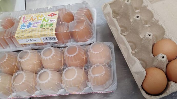 たまご焼き教室をやってみたよ♪