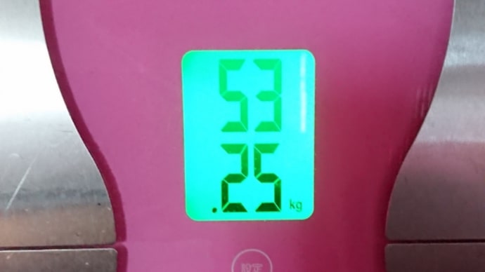 ダイエット165日目