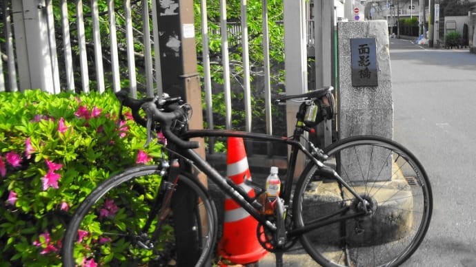 休日は自転車に乗って