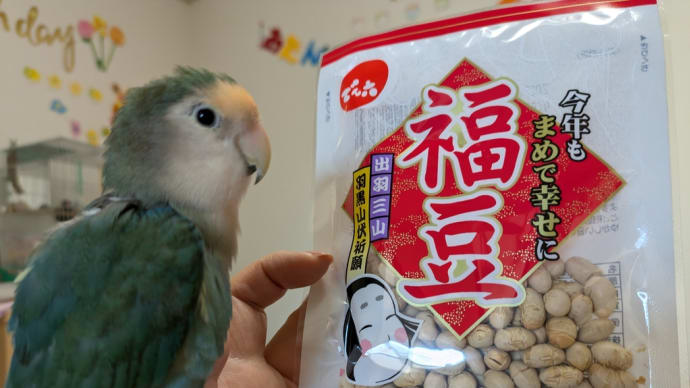 鳥さん達のこと🐦️