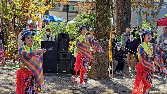 八王子いちょう祭り のりのりよさこい