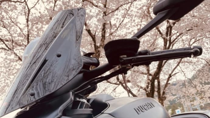 峠道と桜を楽しむぼっちツーリング…