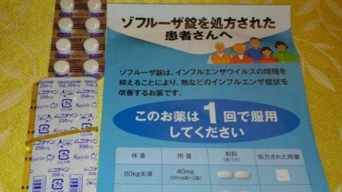 3連休なのに、そりゃあないぜ、インフルエンザめ