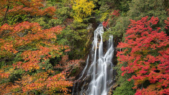 11/23 紀和町の滝(布引の滝、荒滝)