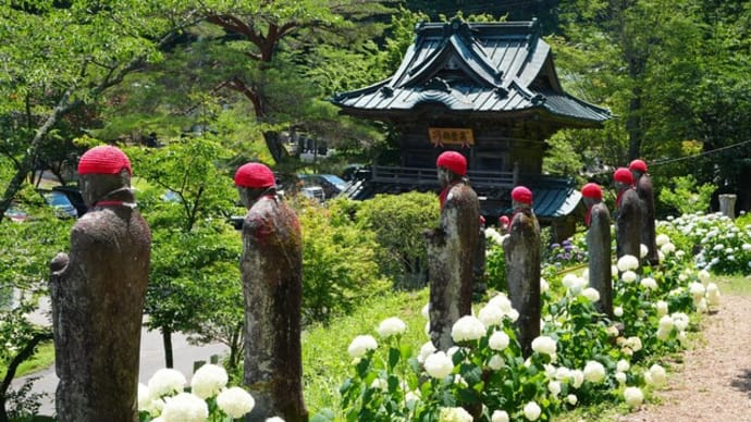 陽林寺（福島）のあじさい