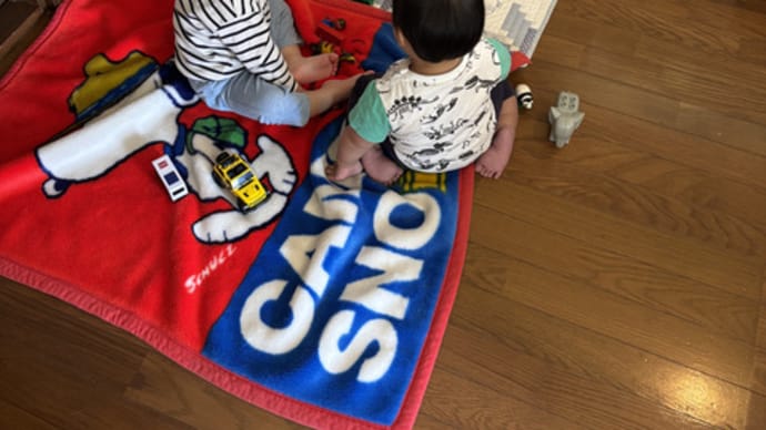 ポーセラーツ