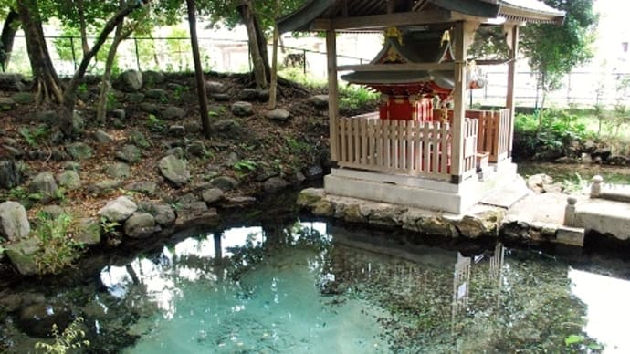 つぶやき#3343 泉が森湧水及びイトヨの里泉が森公園
