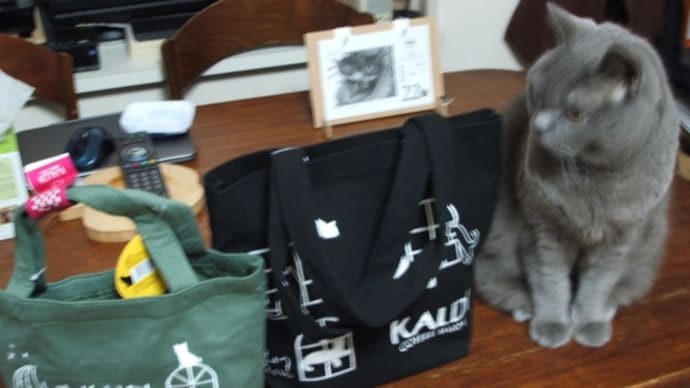 KALDIのネコの日バッグと我が家のブリショーの写真など
