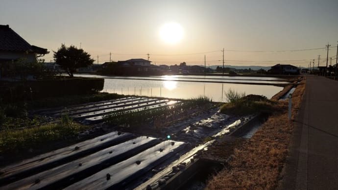 わが家周辺の風景☀