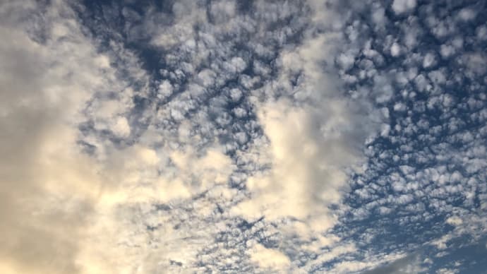 秋の空。